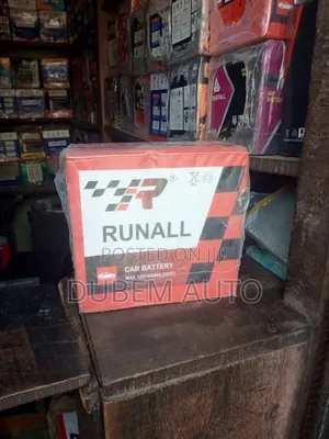 Runall 45 Amps Car Battery