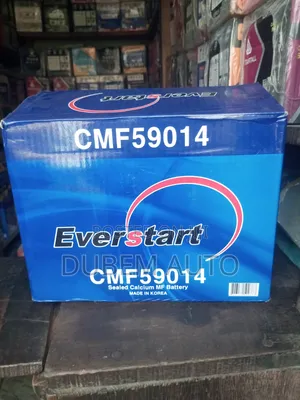 Everstart 90 Amps Car Battery