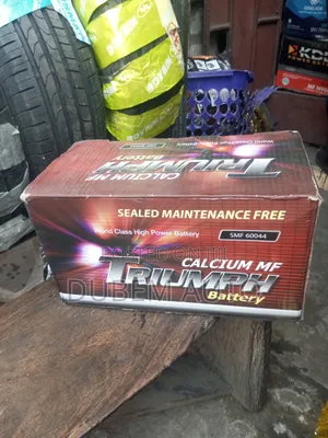 Triumph 100 Amps Car Battery