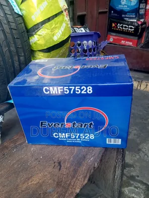 Everstart 75 Amps Car Battery