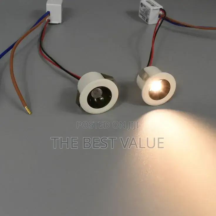 Mini Spotlight