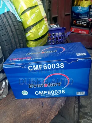 Everstart 100 Amps Car Battery
