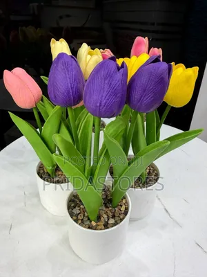 Luxury Table Top Flower