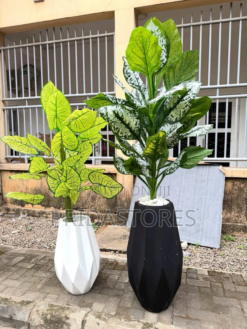 Fiber Big Pot With Plant