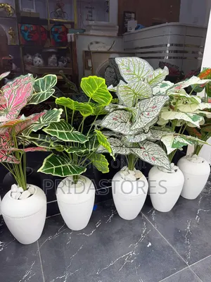 Luxury Oval Potted Artificial Caladium Plants