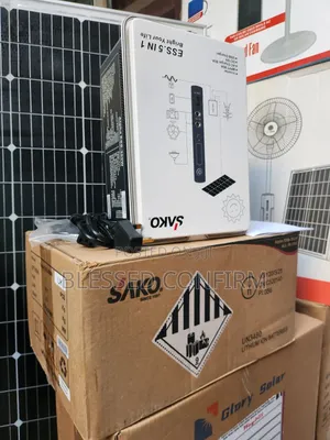 Powerful 1kwh Sako Solar Generator With 2 Solar Panels