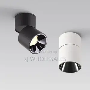 Single Parapet Track Light