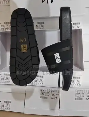 Original Carton Palm/Slide