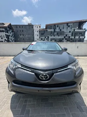 Toyota RAV4 LE 4dr SUV (2.5L 4cyl 6A) 2018 Gray