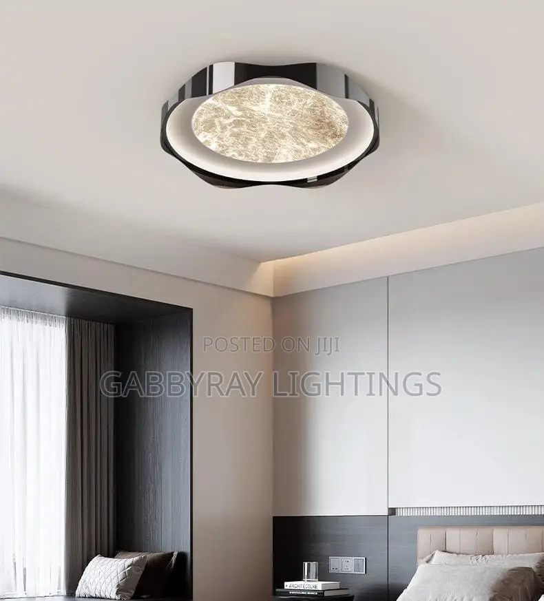 Black Ceiling Led Light