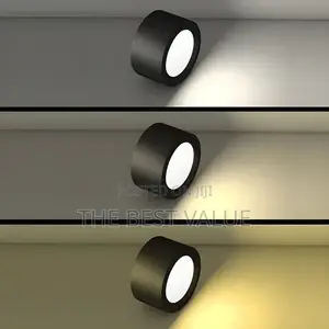 Ethan Surface Ceiling and Parapet Light