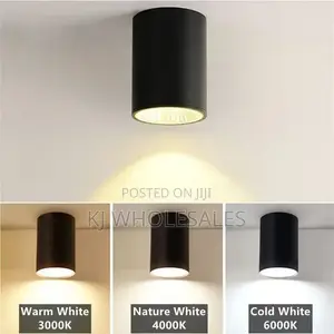 Led Parapet Cylinder Light