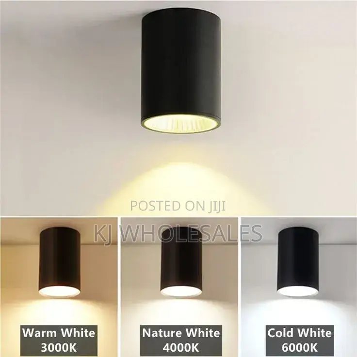 Led Parapet Cylinder Light
