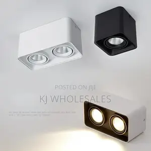 Single and Double Catiliver Led Light