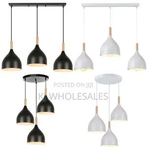 Some Dropping Pendant Light