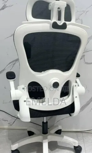 Smart Ergonomic Chair Restocked For Sale