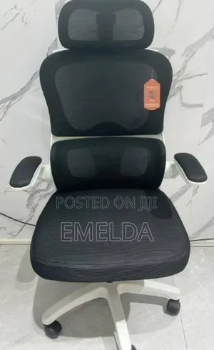 Prestige Ergonomic Chair Restocked For Sale