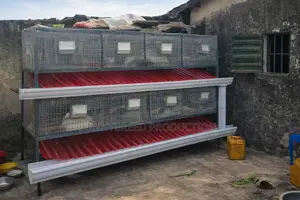 Modern Rabbit Cage