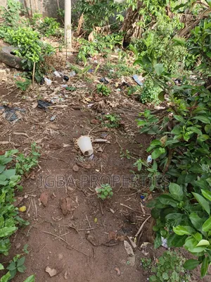 750sqm of Dry Land, Alagbole via Ojodu Berger Lagos +Cofo. 80 M
