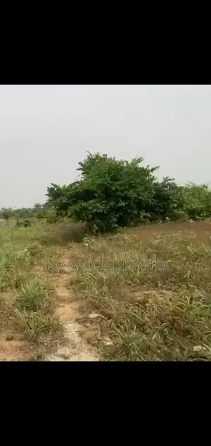 1 Plot of Land