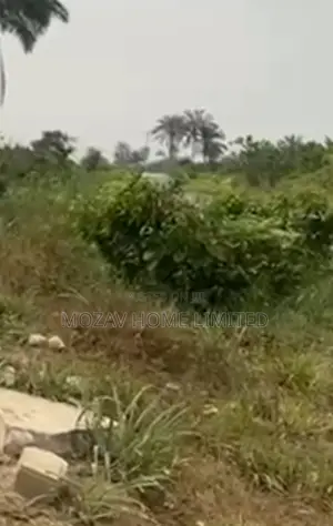 1 Plot of Land