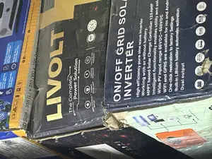 1kva/12v Livolt Non Hybrid Inverter