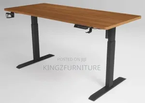 Home Office Electric Standing Computer Desk,