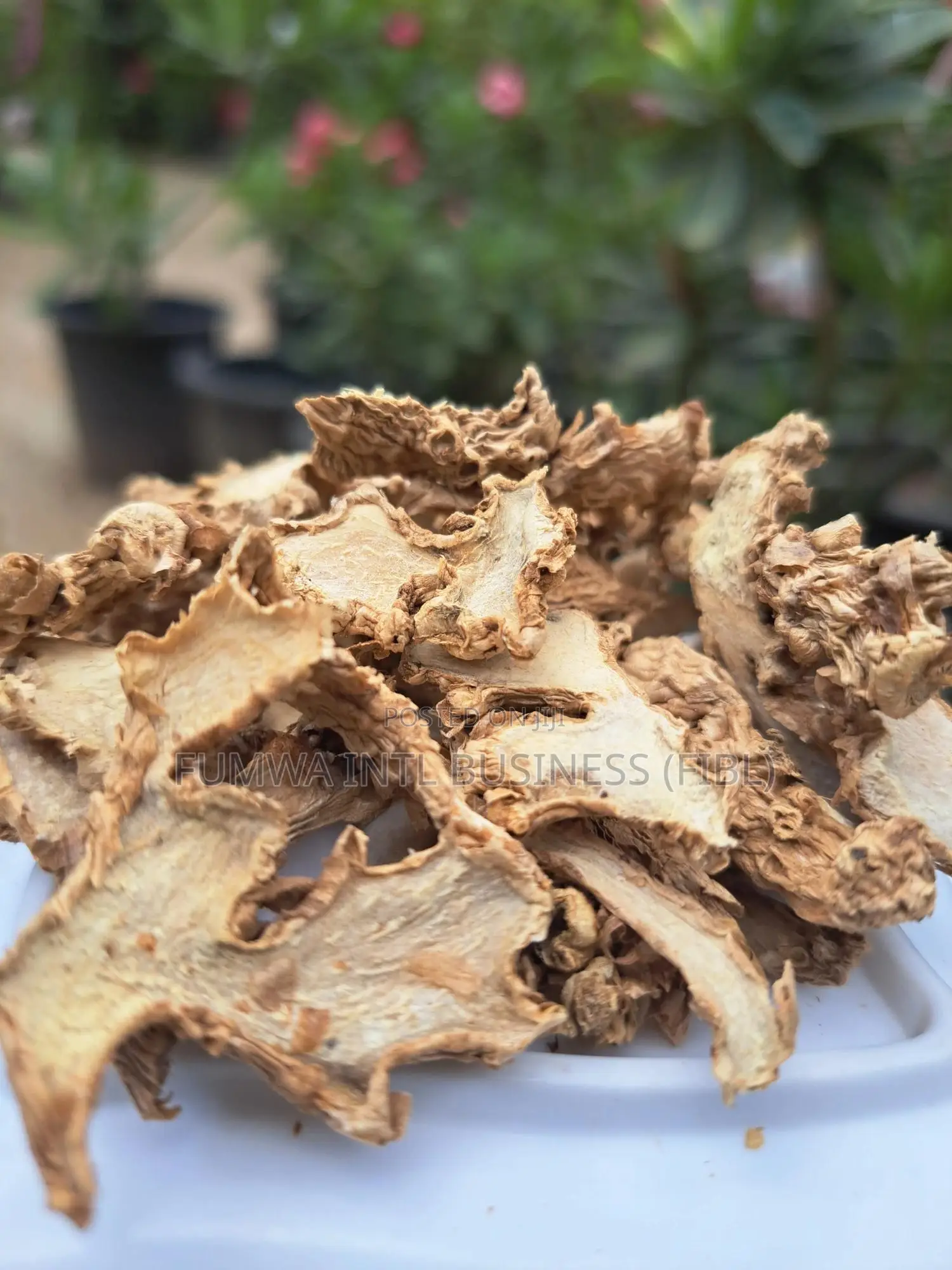 Dried Ginger
