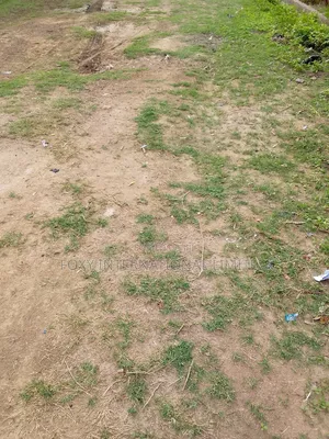 100 Hectares Land at Maitama2