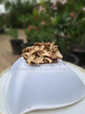 Dried Ginger