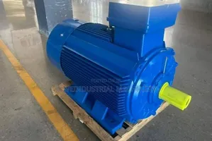 Electric Motor