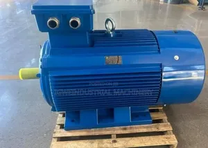 Electric Motor