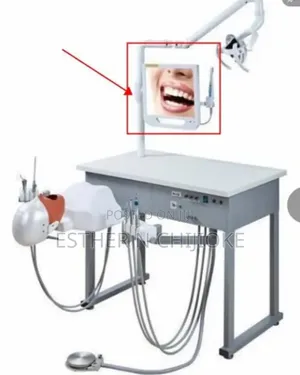 Dental Phantom Head