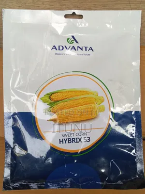 Sweet Corn Hybrid Seeds 250g