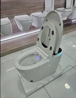 Automatic Sensor Water Closet