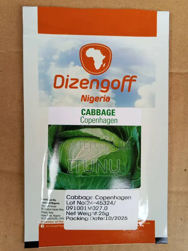 Cabbage Seeds 25g
