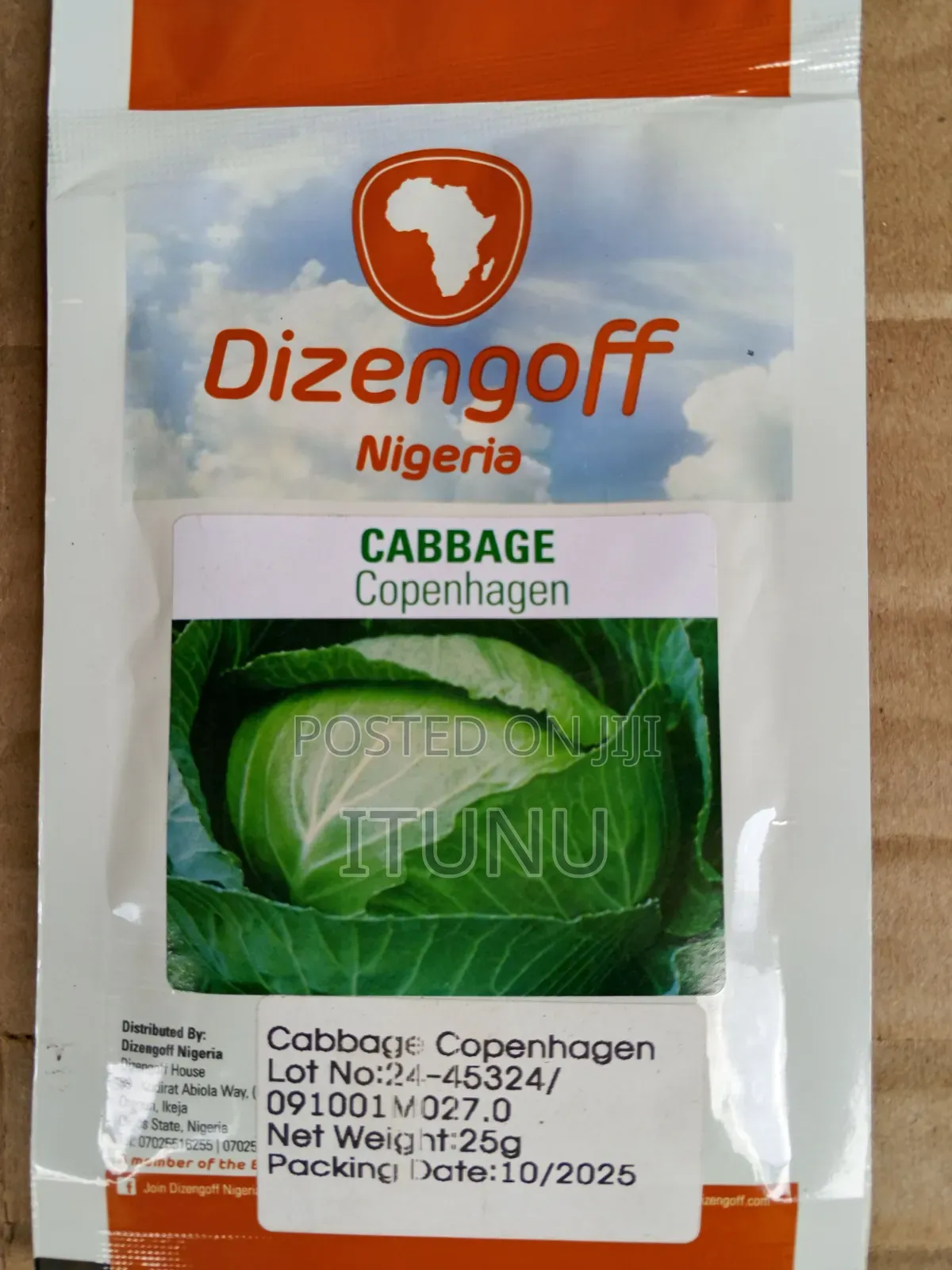 Cabbage Seeds 25g