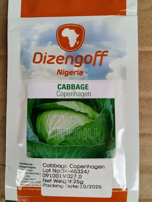 Cabbage Seeds 25g
