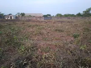 Land Farm Lease