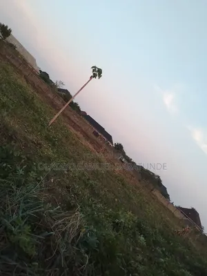 Land Farm Lease