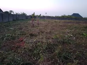 Land Farm Lease