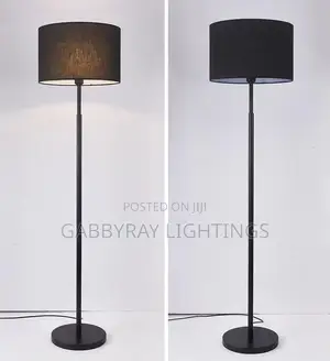 Stylish Floor Lamp