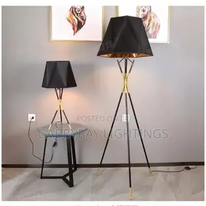 Contemporary Floor Lamp