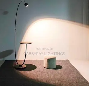 Led Floor Lamp