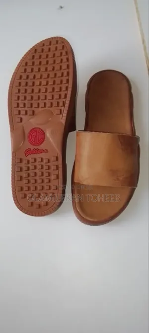 Brown Cover Palm