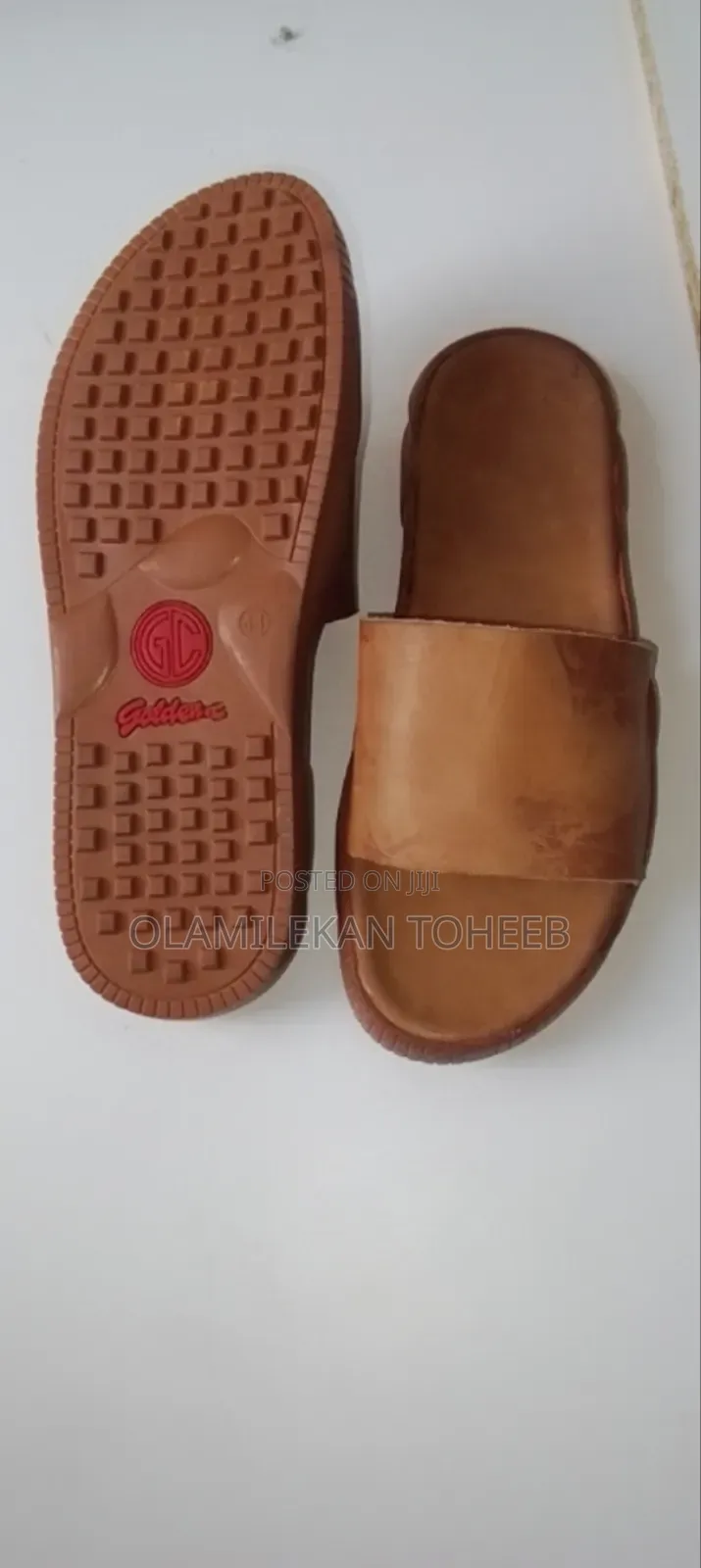 Brown Cover Palm