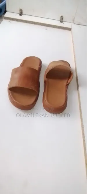 Brown Cover Palm