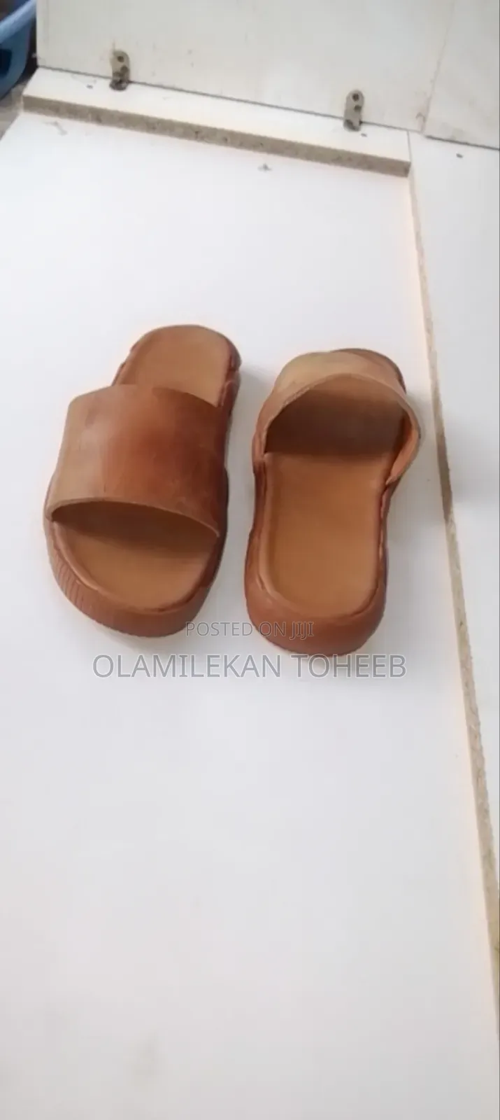 Brown Cover Palm