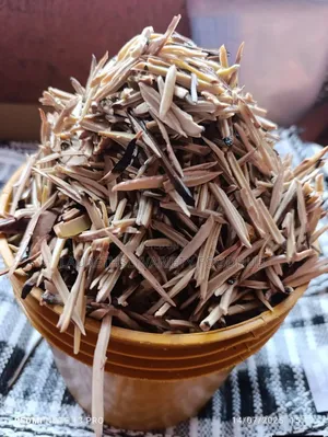 Fresh and Dry Ugba (African Oil Bean Seed) Available – Clean Quality