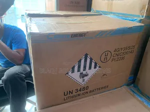 Cworth 100ah Lithium Ion Batteries